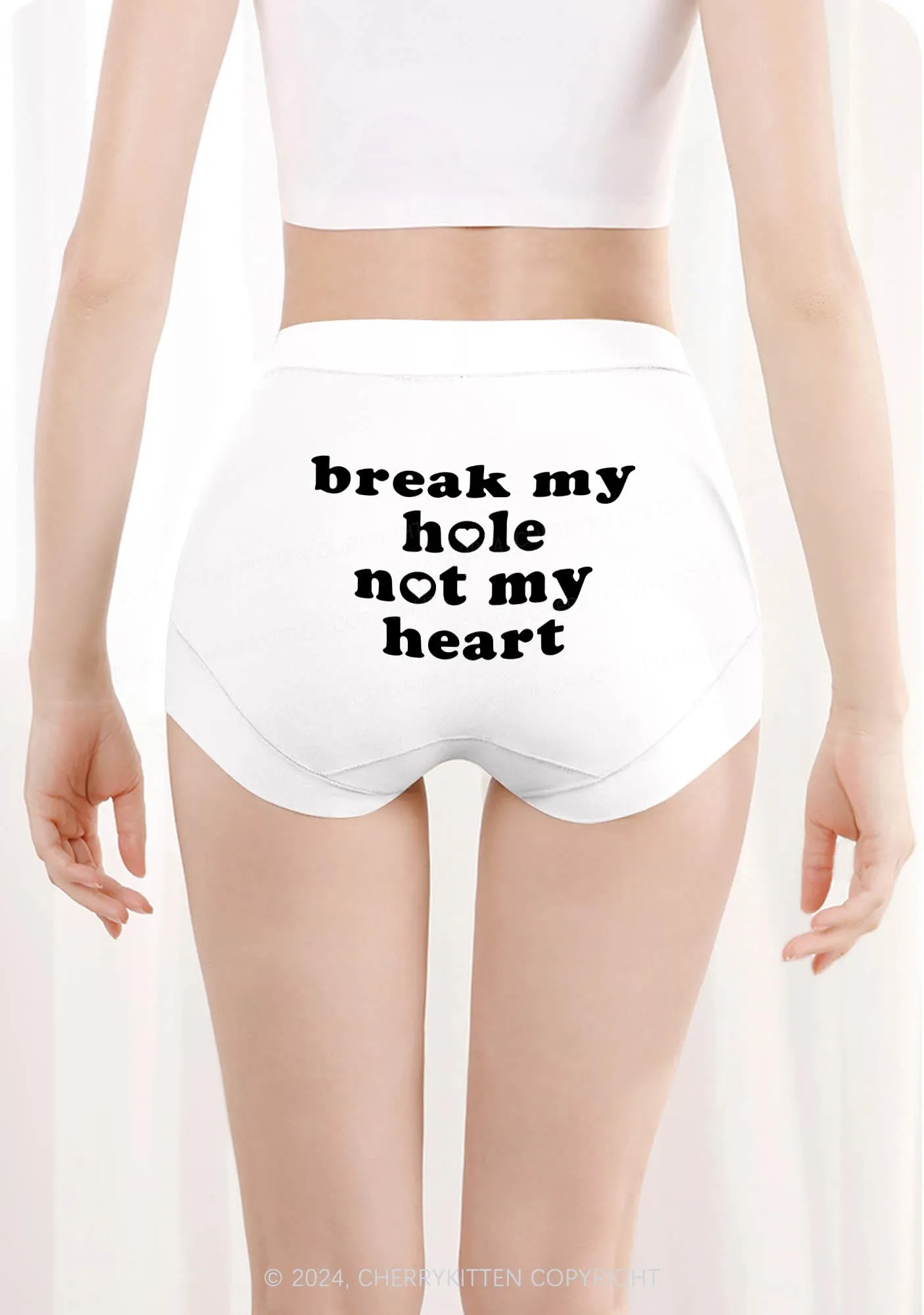 Break My Hole Y2K Mid Rise Waist Boyshort Cherrykitten