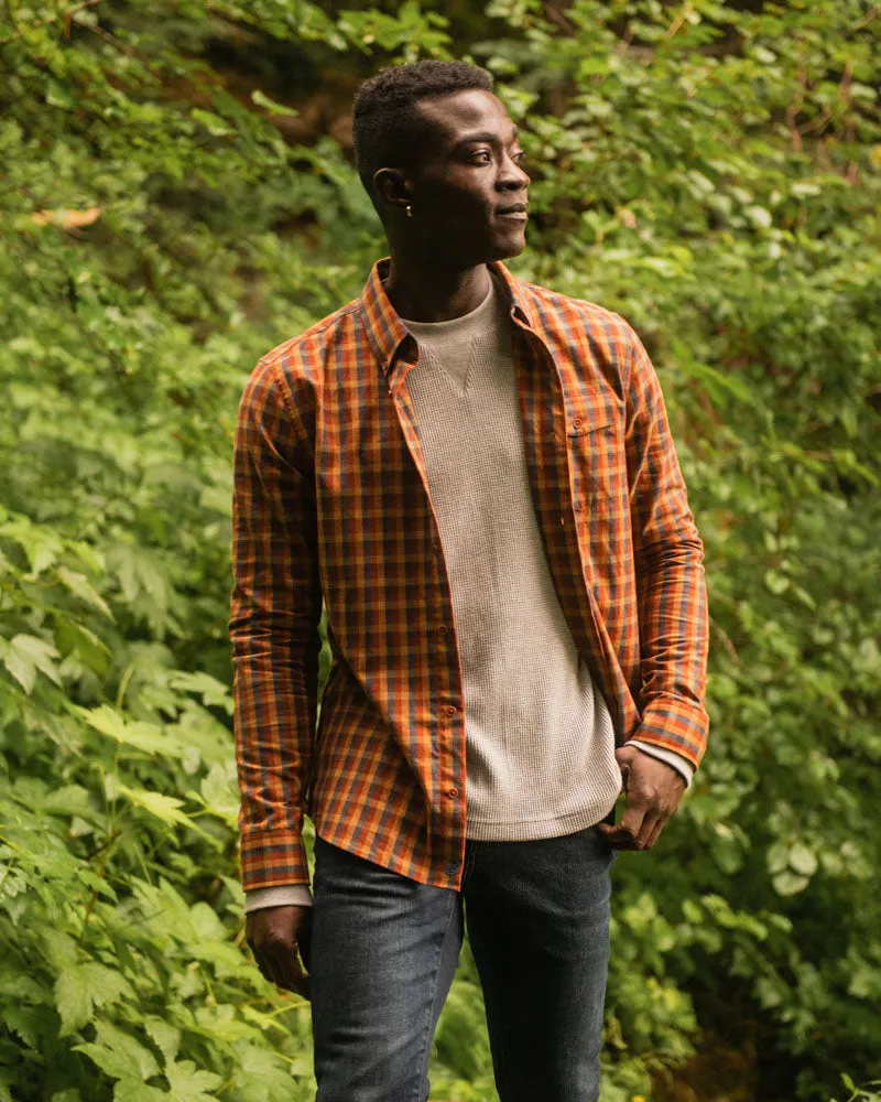 Organic Oxford Button Down